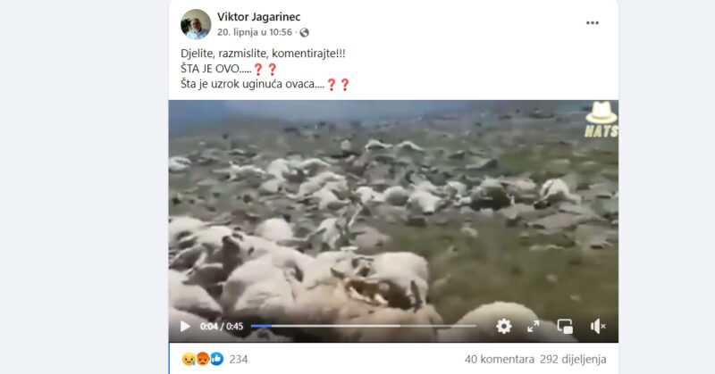 Snimka uginulih ovaca je iz kolovoza 2021. Najvjerojatnije ih je ubila munja